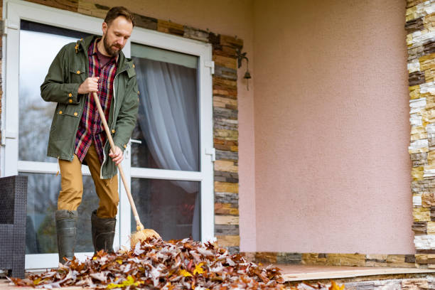 Best Junk Hauling Services  in Austintown, OH