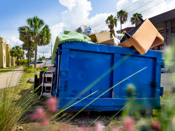 Attic Cleanout Services in Austintown, OH